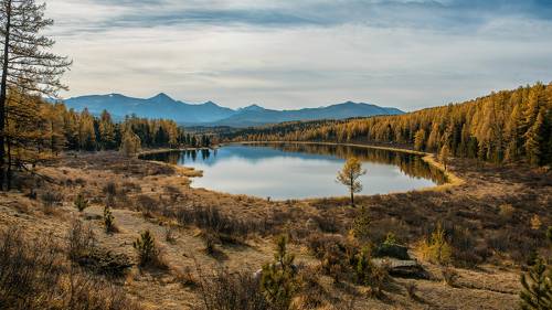 Беглый взгляд на Киделю