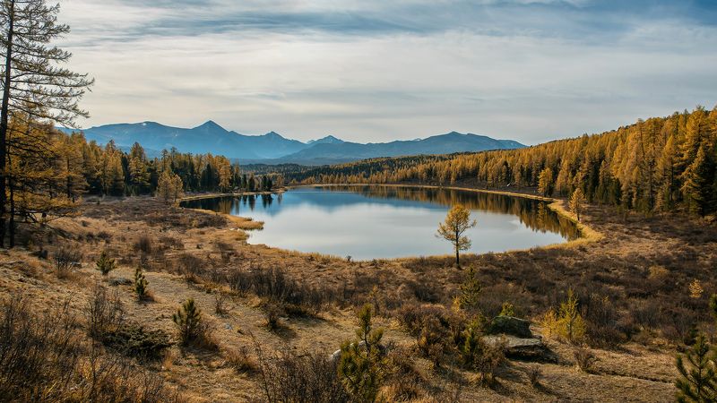 киделю, озеро, алтай, республика алтай, лиственницы, осень, горы Беглый взгляд на Киделю фото превью