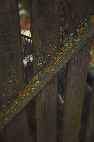 Воспоминание