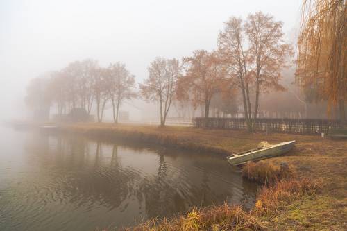 В утреннем тумане