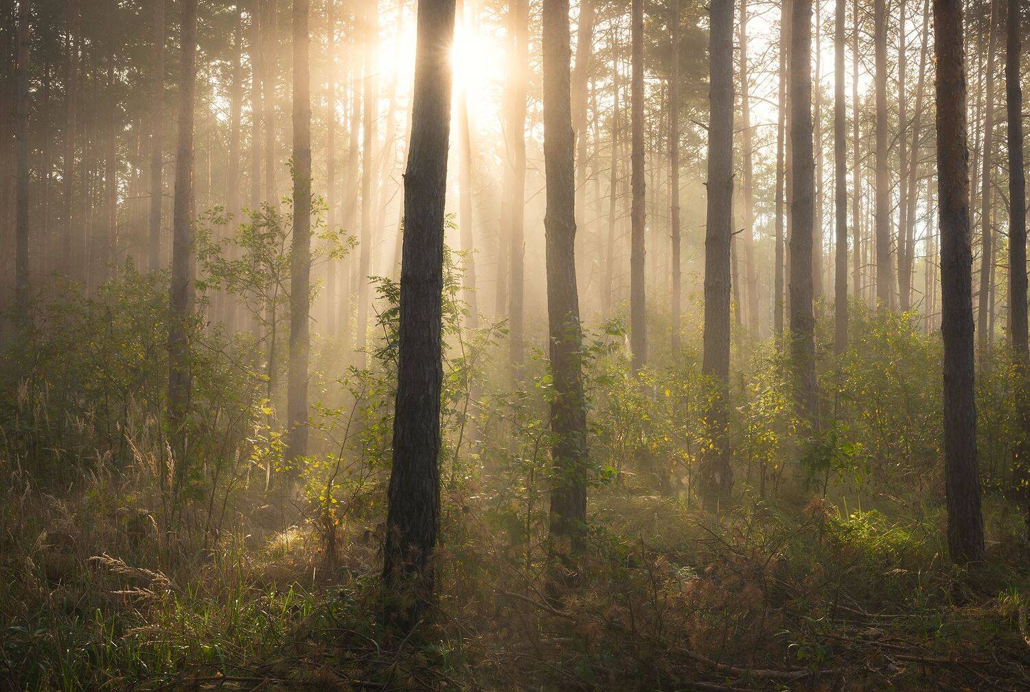 , Захаров Дмитрий