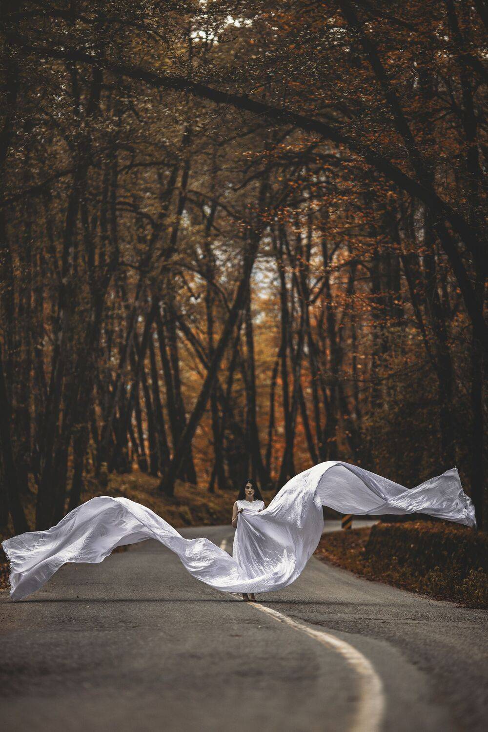 , shahin khalaji