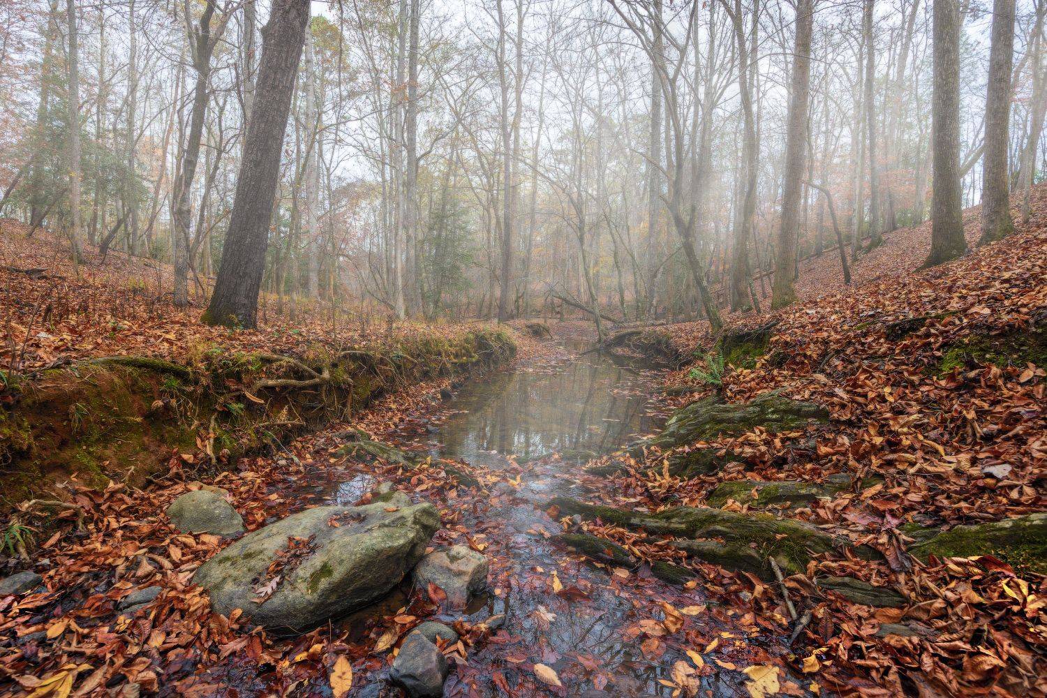 , Леонид Дьяченко