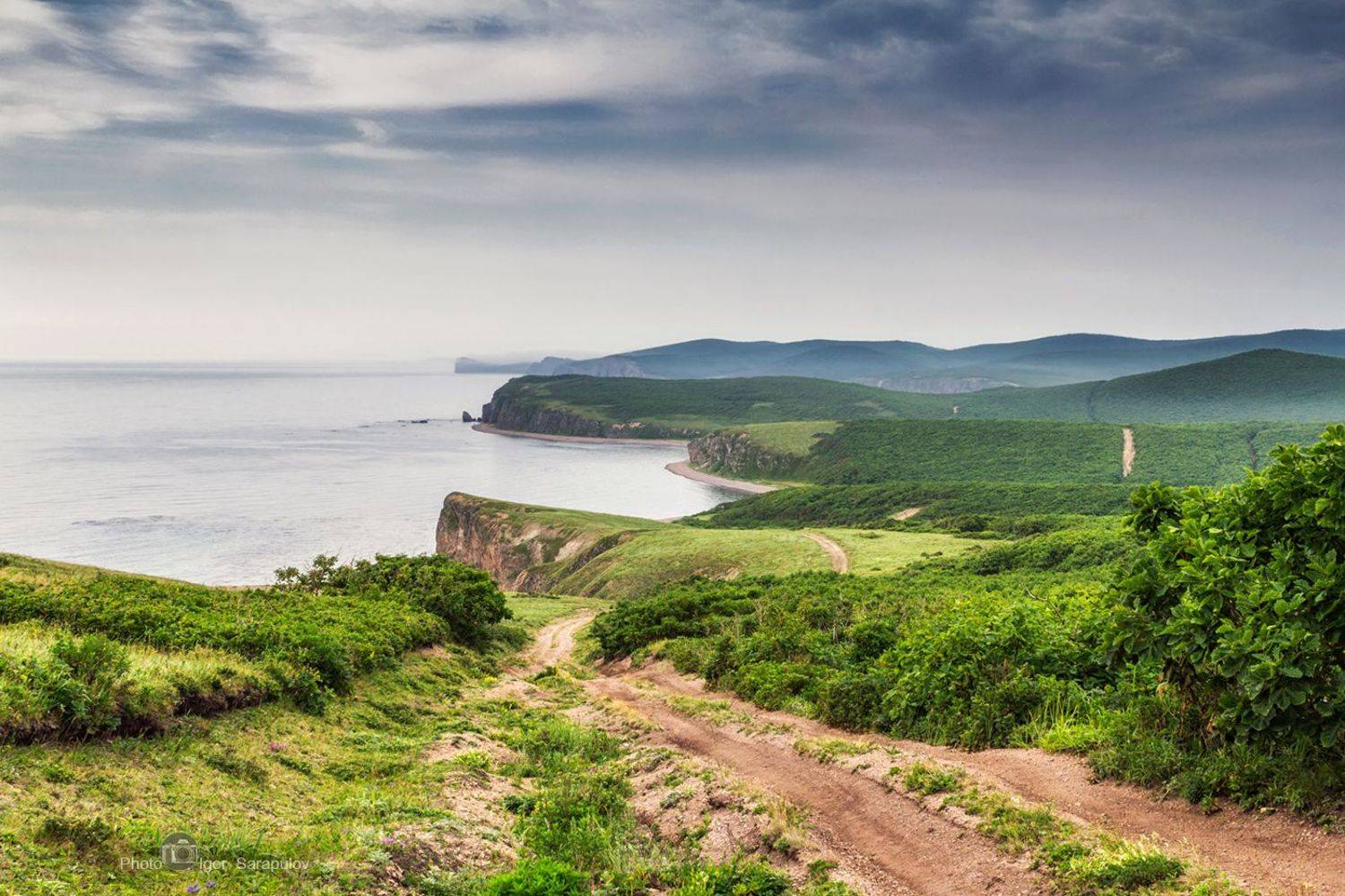 японское море, туман, побережье, обрыв, мыс черепахи, кекуры,  кавалеровский район, высота, бухта малая нерпа, бухта дубовая, берег, дв, дальний восток, приморье, приморский край, путешествие, природа, пейзаж, вид, Сарапулов Игорь
