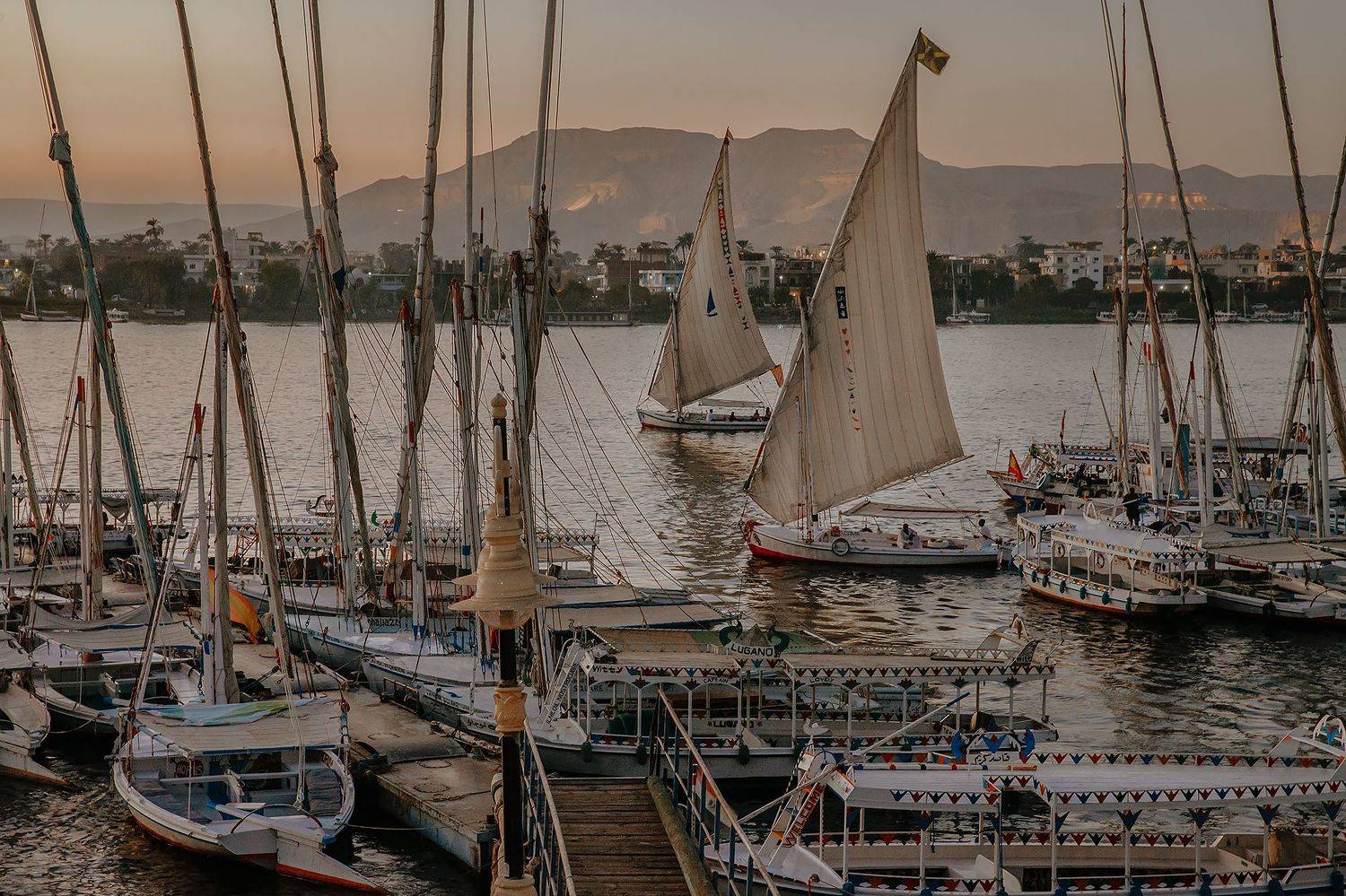 египет, луксор, парус, нил, река, природа, путешествие, город, море, отдых, Анастасия Колесникова