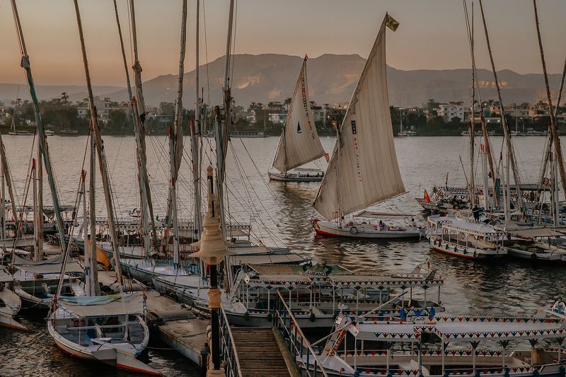 египет, луксор, парус, нил, река, природа, путешествие, город, море, отдых Фелуки на закате фото превью