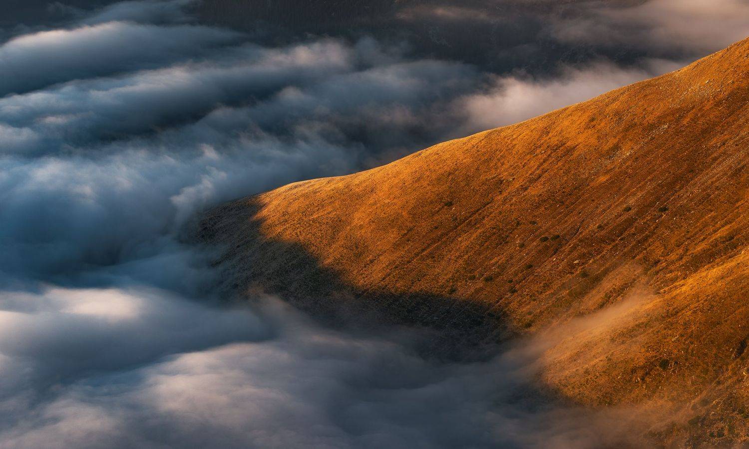 , Szabo Zsolt Andras