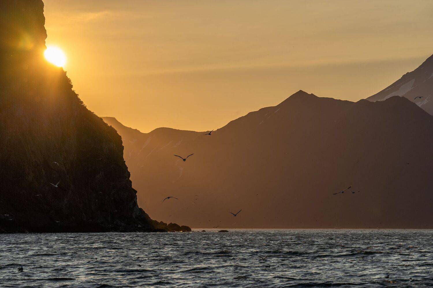закат, море, океан, чайки, солнце, птицы, Баландин Дмитрий