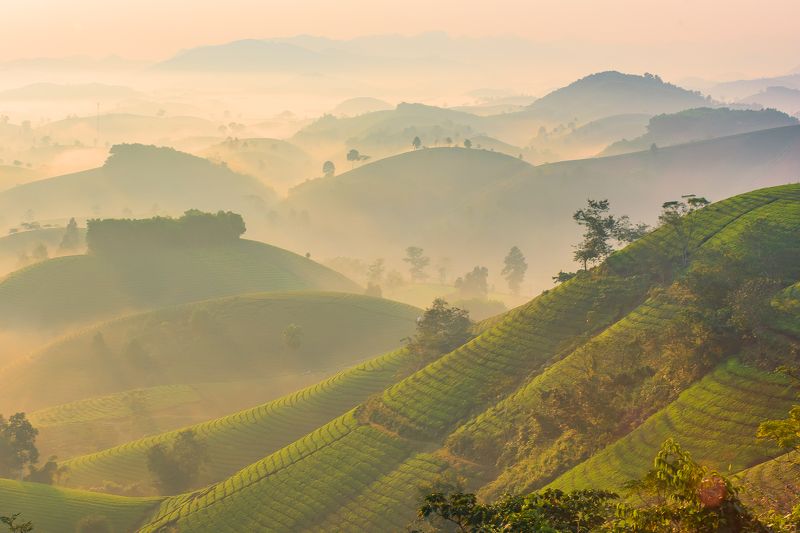 Long Cốc, Phú Thọ, Việt nam фото превью