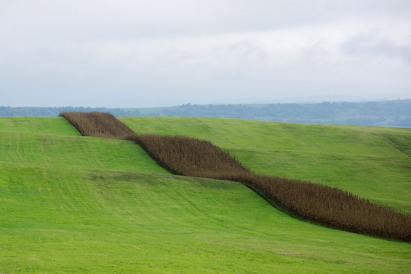 ГЕОМЕТРИЯ ПОЛЕЙ фото превью