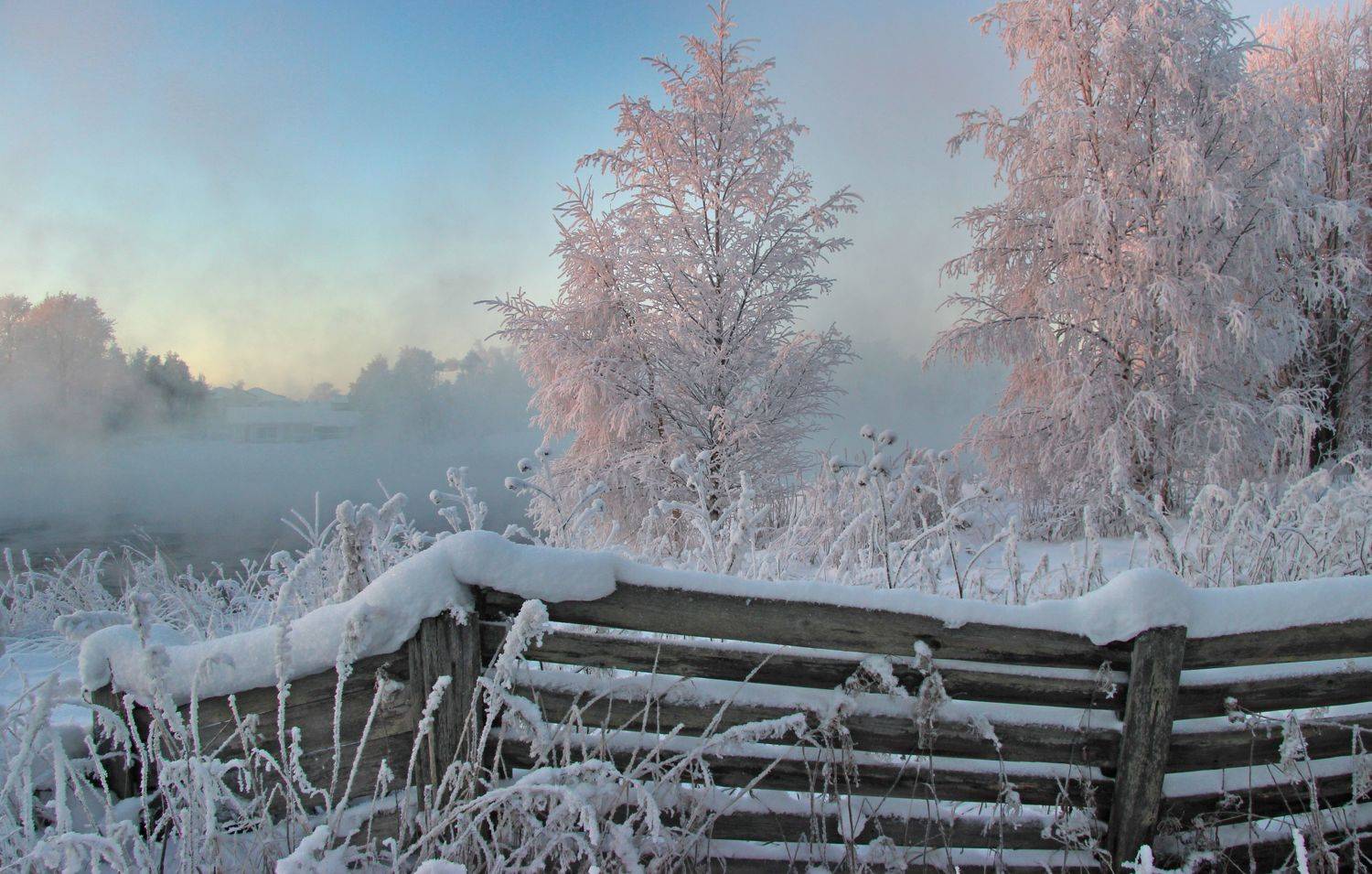 , Александр Коротков