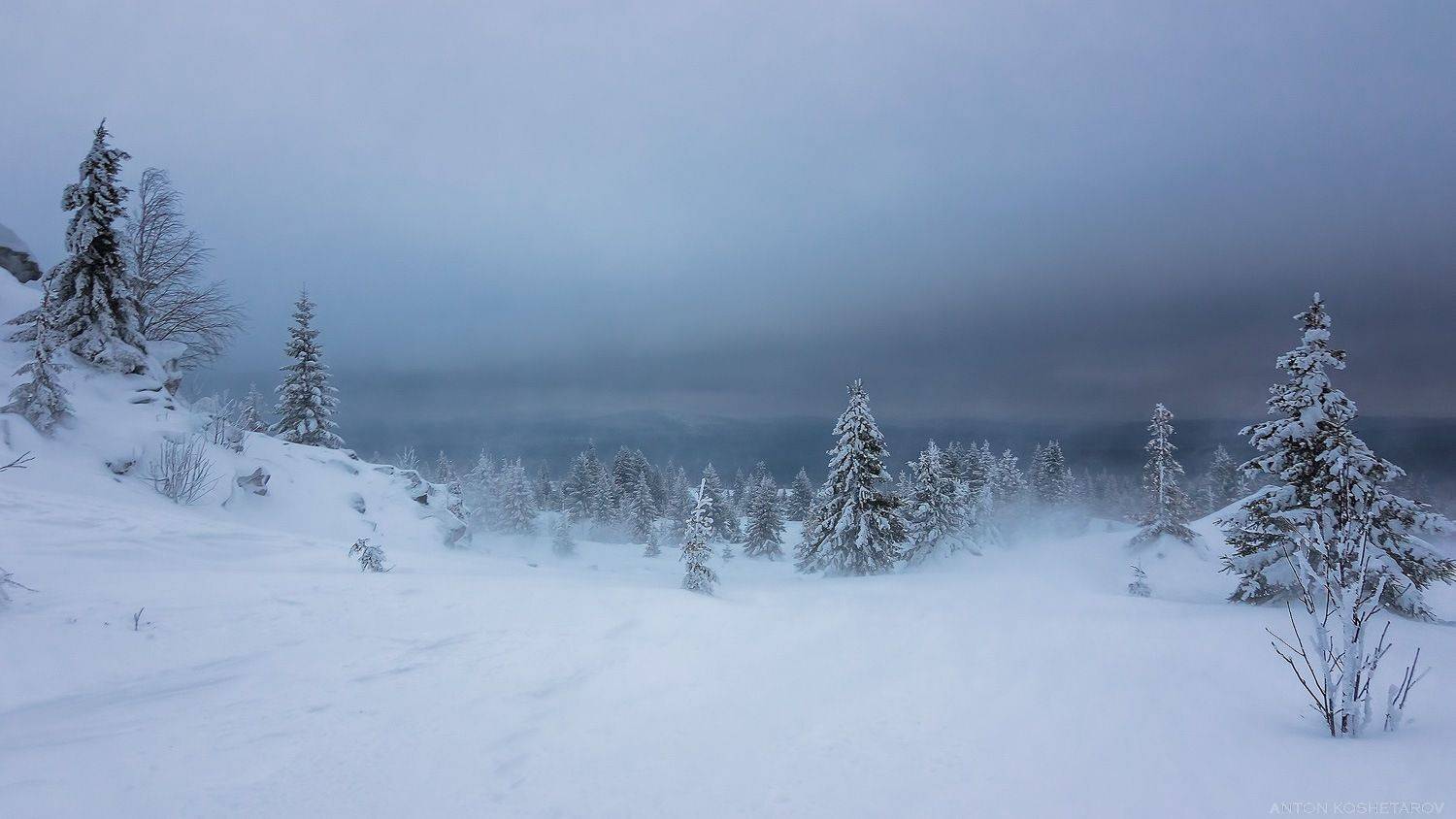 , Антон Кошетаров