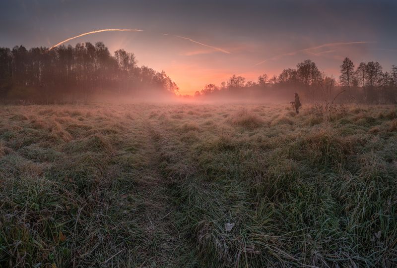 Туман в поле фото превью