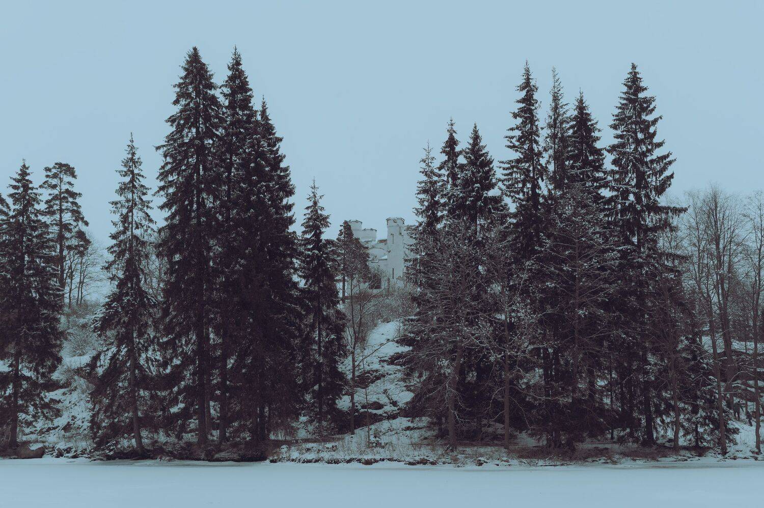 northern island castle chapel winter snow landscape vyborg pine, Егор Бугримов