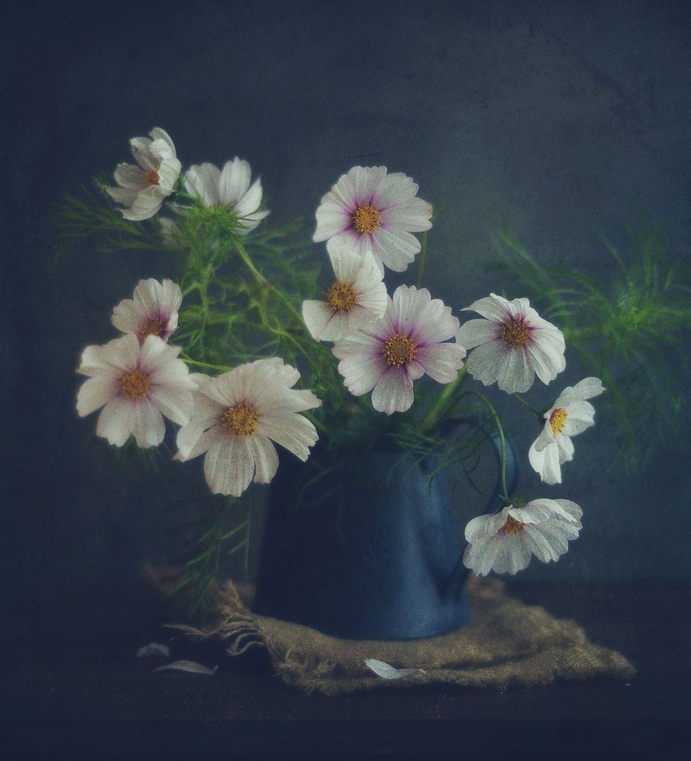 натюрморт,композиция,космеи,цветы, Наталия К