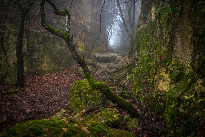 крым *** фото превью