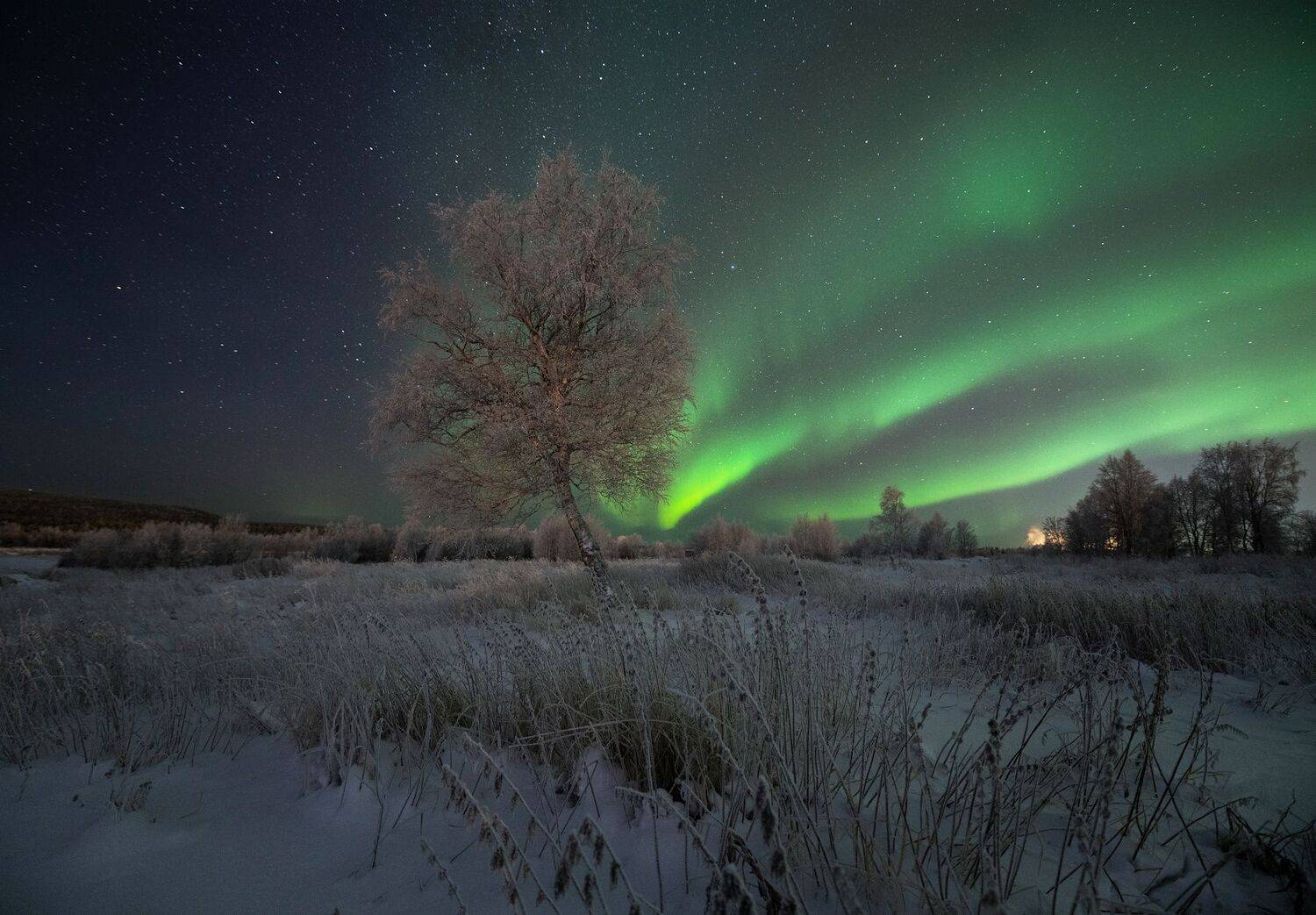 , Виталий Истомин