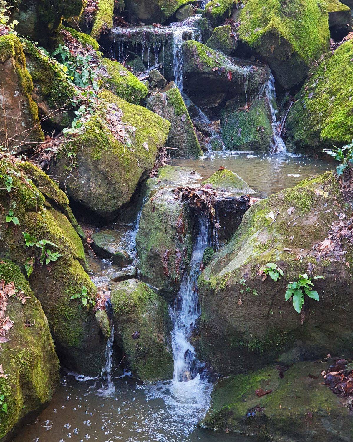 скалы, мох, природа, Куликова Ирина