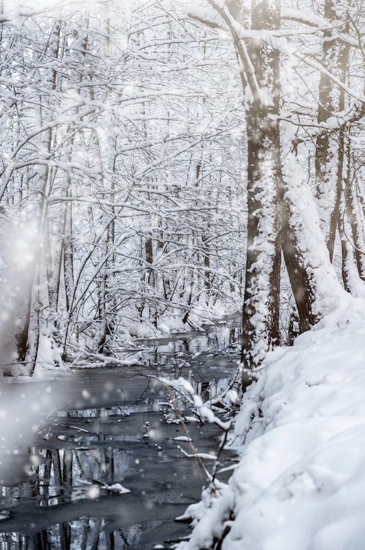 зима, река, пейзаж, снег Зимняя речка в лесу фото превью
