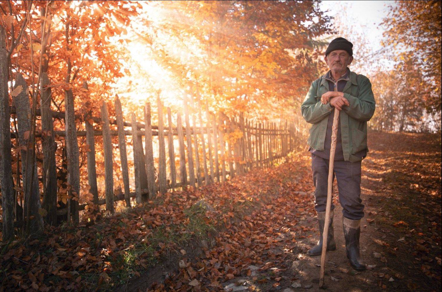 123123, Михайло Павленко