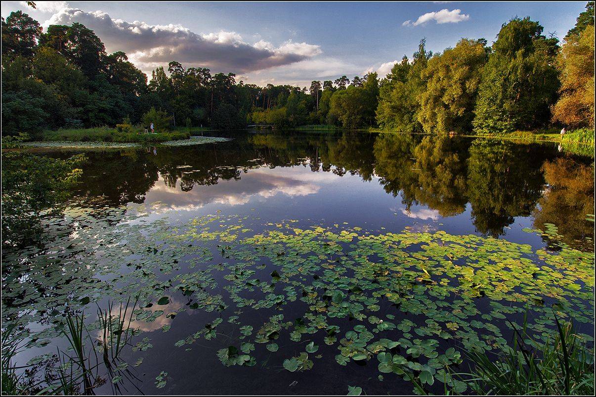 москва, осень, озеро, лес, отражение, АНАТОЛИЙ ДОВЫДЕНКО