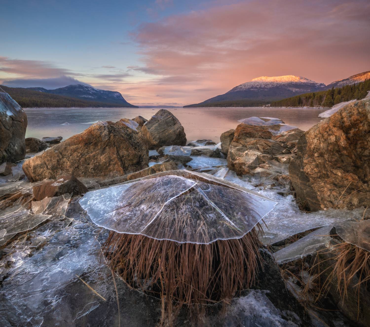 кольский, Андрей Грачев