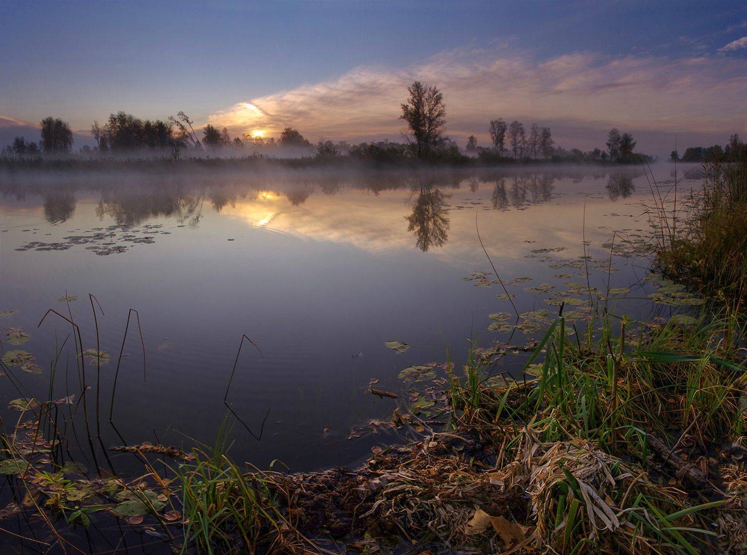 рассвет, утро, свет, вода, трава, облака, туман, лето, озеро, солнце, Валерий Чичкин
