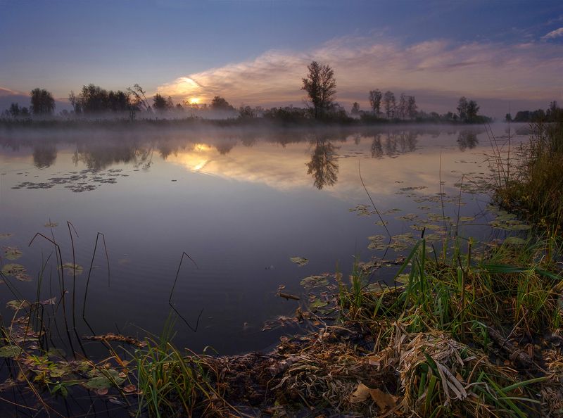 Утро на старом озере фото превью