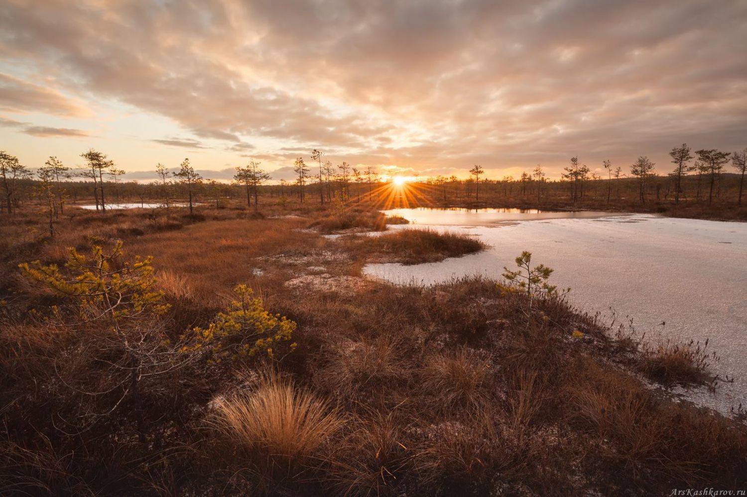 болота ленинградской области, ленобласть, торфяник, мочажина, межсезонье, болото, Арсений Кашкаров