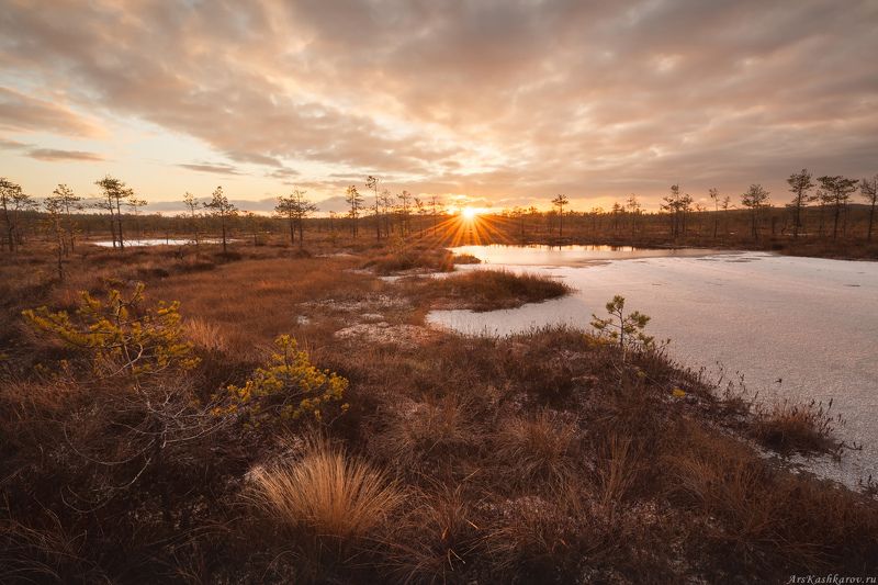 болота ленинградской области, ленобласть, торфяник, мочажина, межсезонье, болото \
