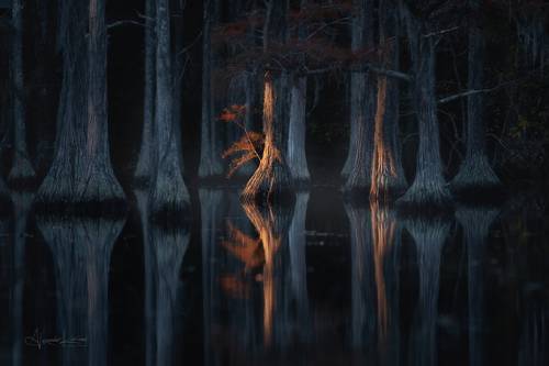 Новое утро, новая жизнь...