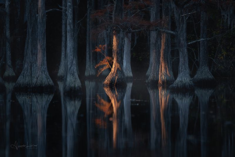 Новое утро, новая жизнь... фото превью