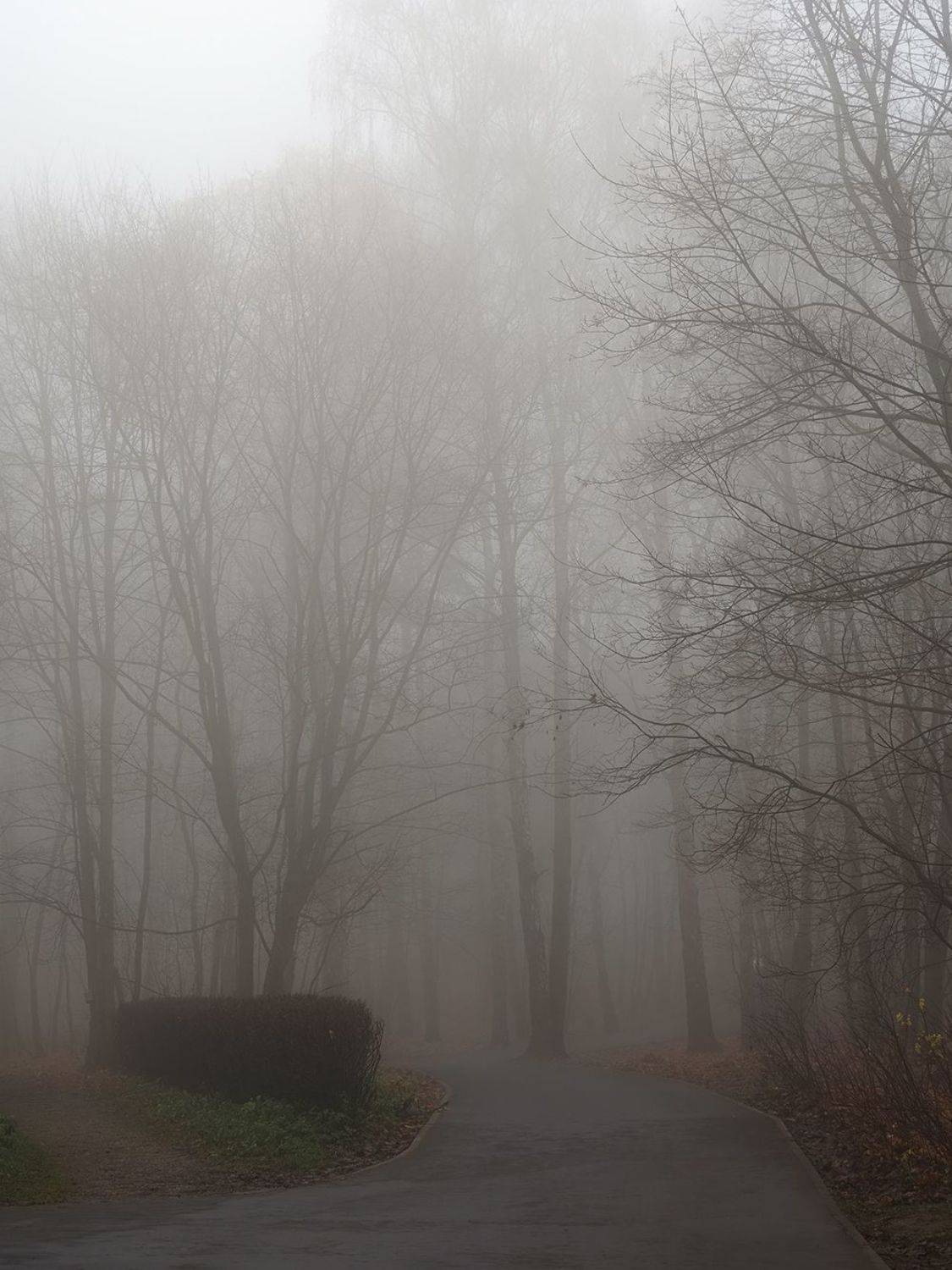 , Сергей Духанин