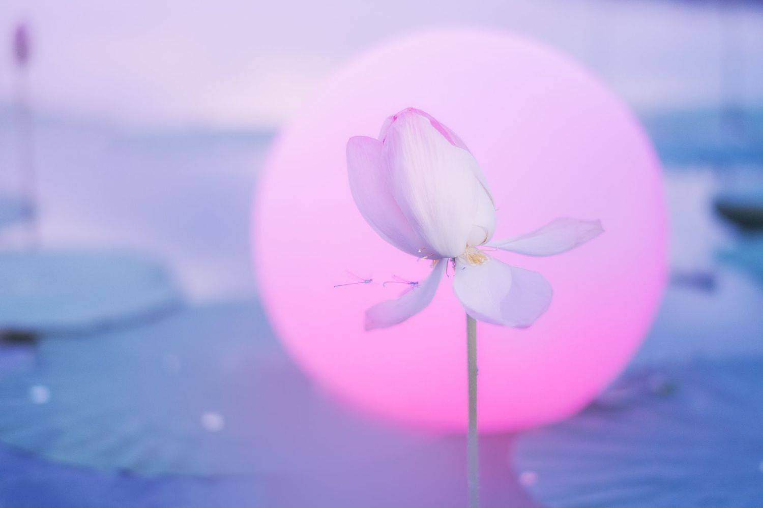 Волга, Астрахань, Даниил Коржонов