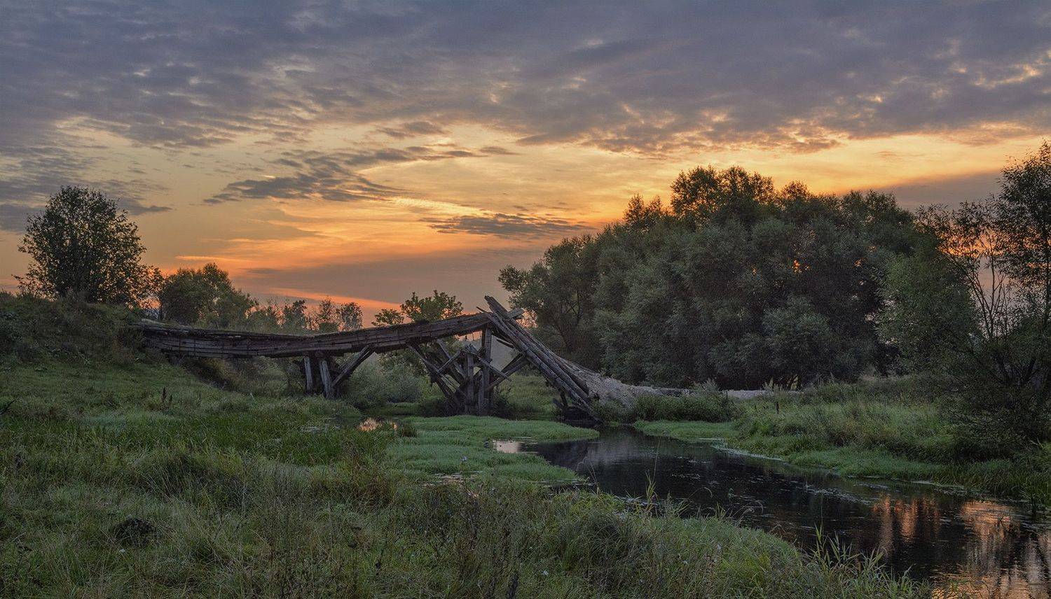 , Анатолий Зверев