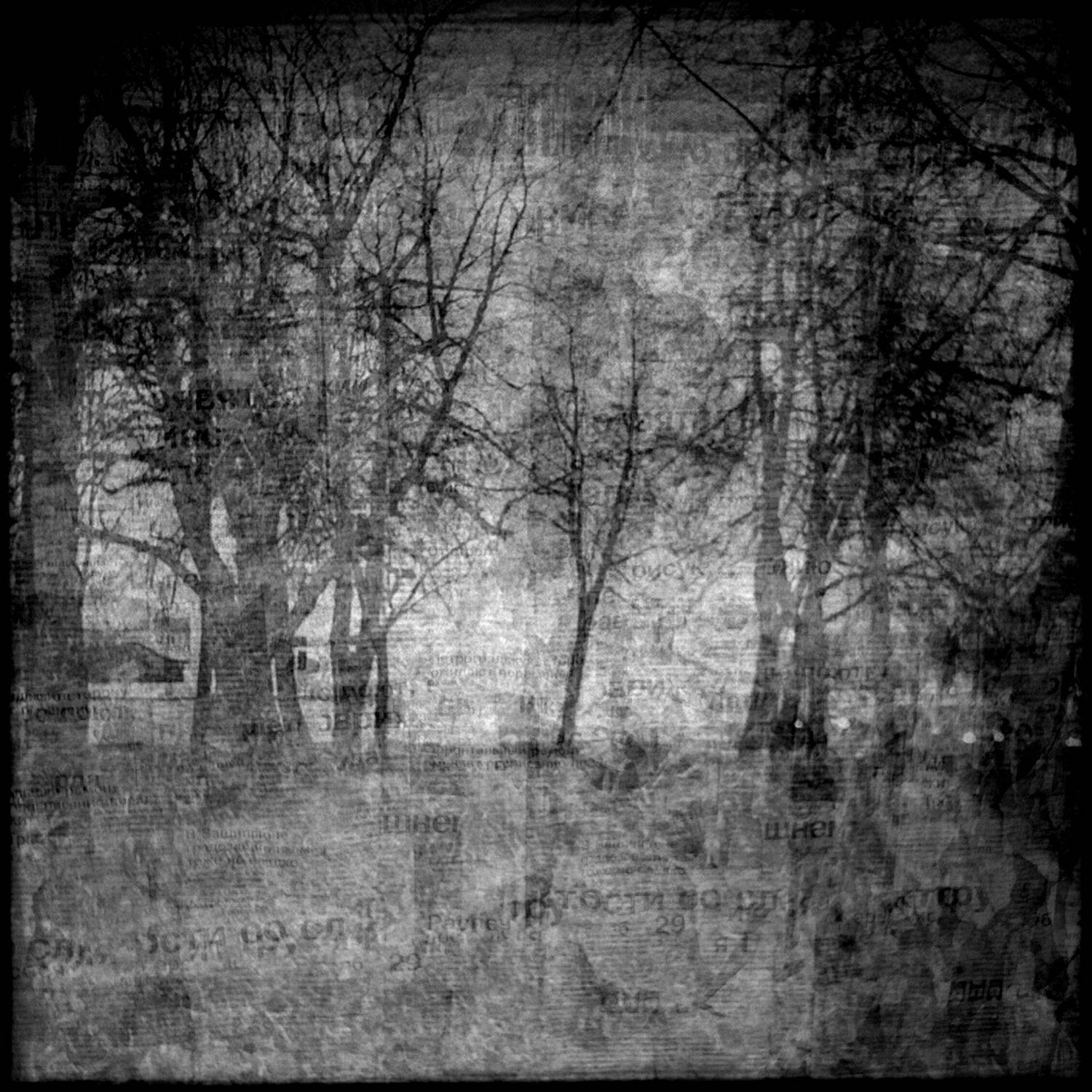 , Антон Лаба