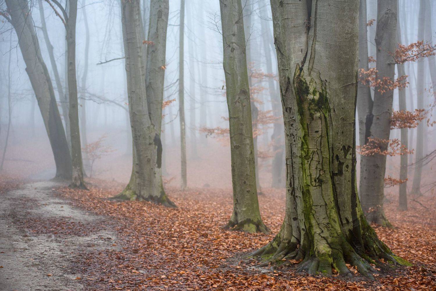 , Юрий Юрьев