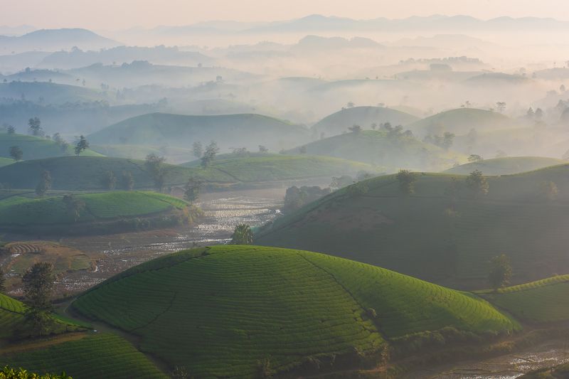 Long Cốc, Phú Thọ, Việt nam фото превью