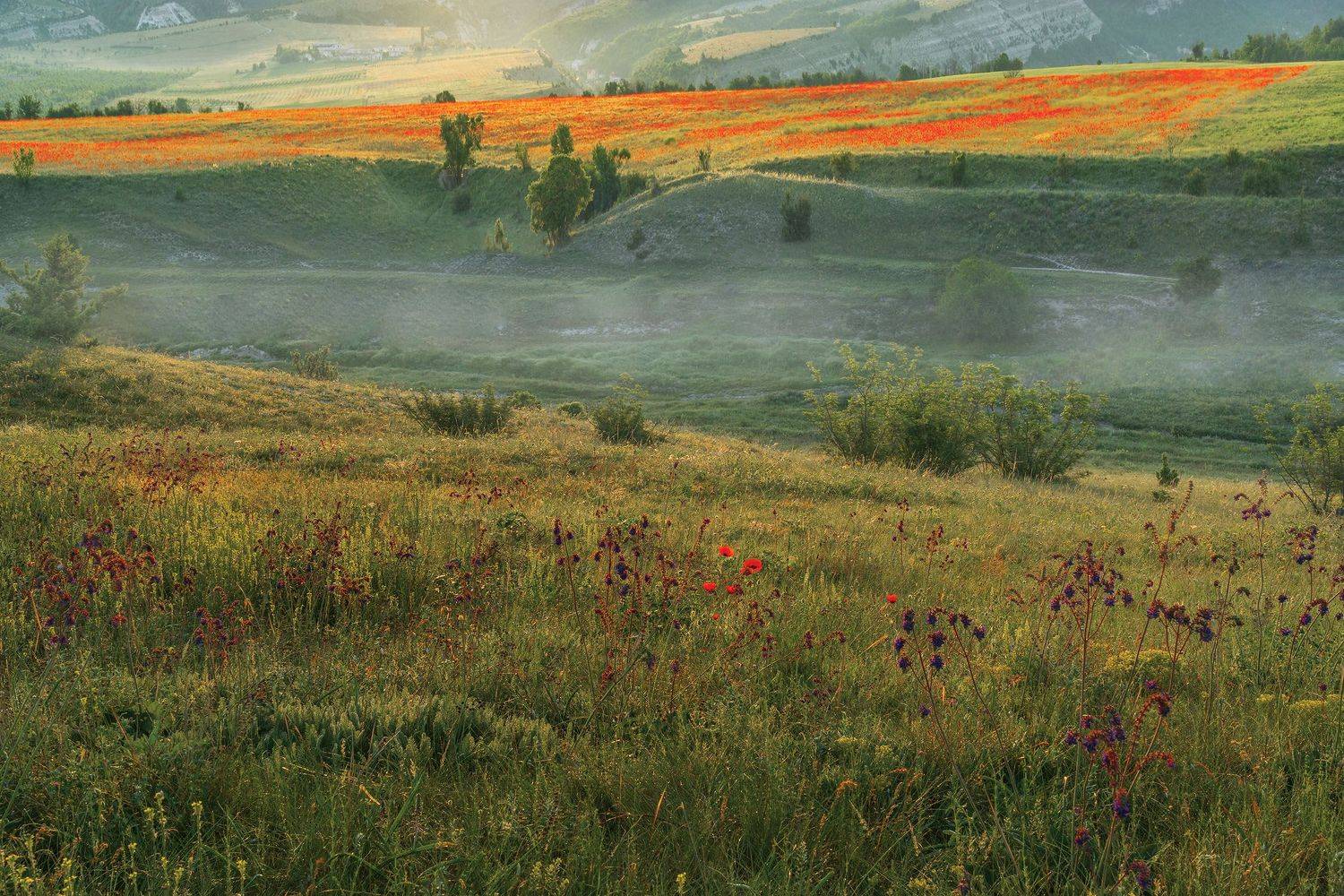 Фототуры с Владимиром Рябковым, #Крым #Crimea #crimea_life #topnature #russpasibo #magic_shots #lovelyRussia #sunset_vision #exclusive_sky  #exclusive_shots #loves_russia2 #photoarena_nature #nature_sultans #nature_perfection #rsa_sky #rsa_sunset #photoru, Владимир Рябков