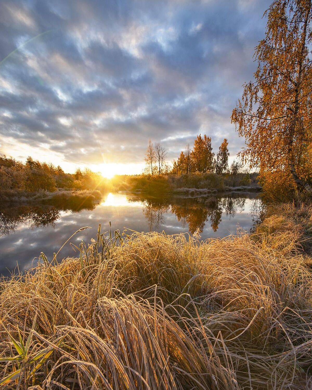 , Петр Косых