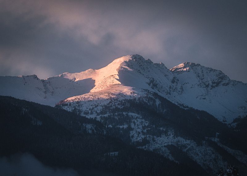 Утренний свет фото превью