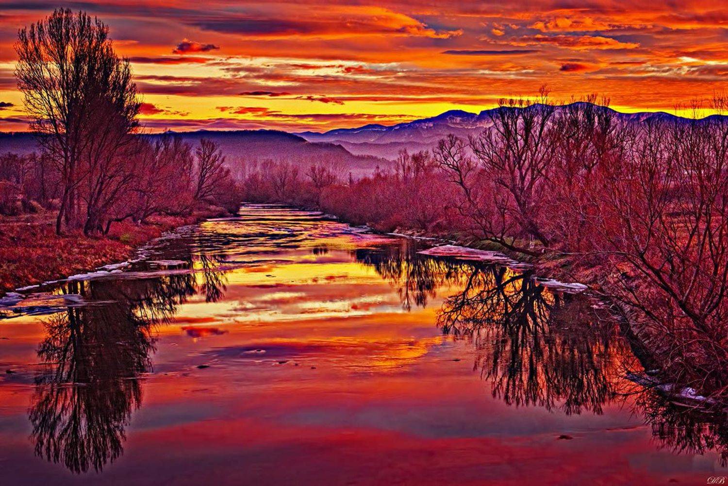 color, colors, color image, crimson, landscape, marmalade, nature, night, orange, photography, red, river, riverscape,  sky, skies, tree, trees, water, yellow,, Dr Didi Baev