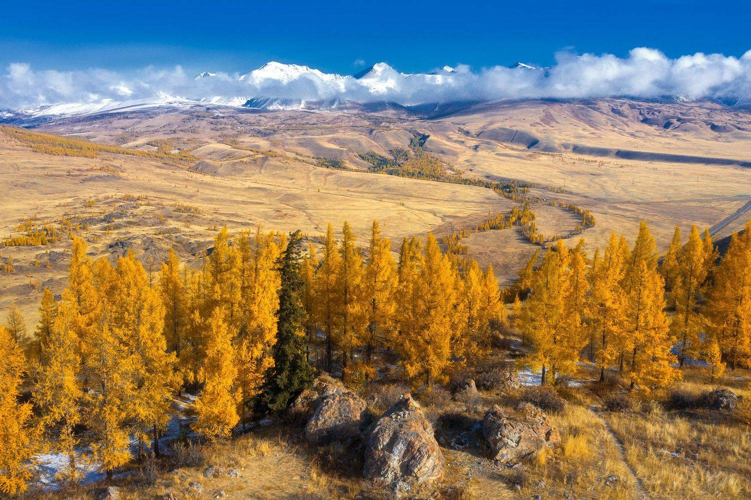 , Юрий Столыпин