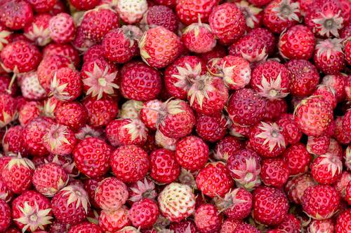 Фактура лета