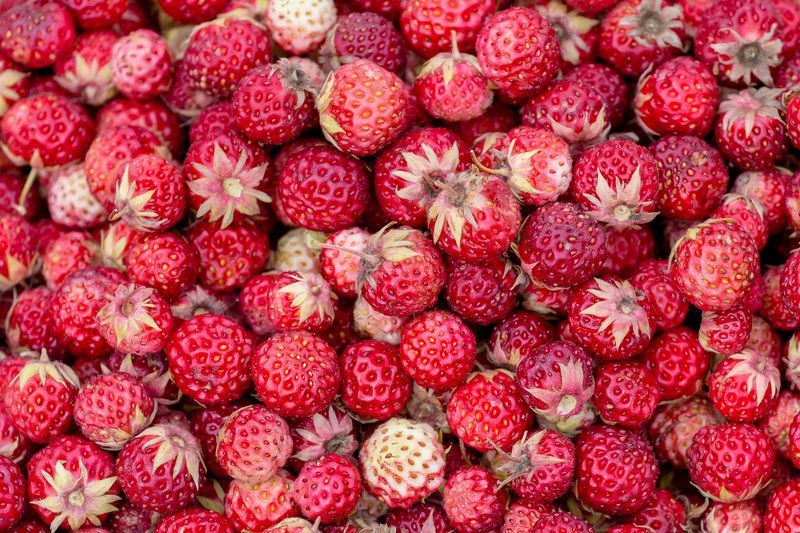 лето, июль, ягода, текстура, земляника, луг Фактура лета фото превью