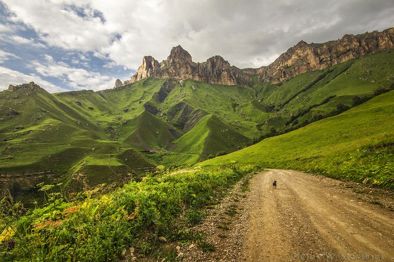 Дорога домой фото превью