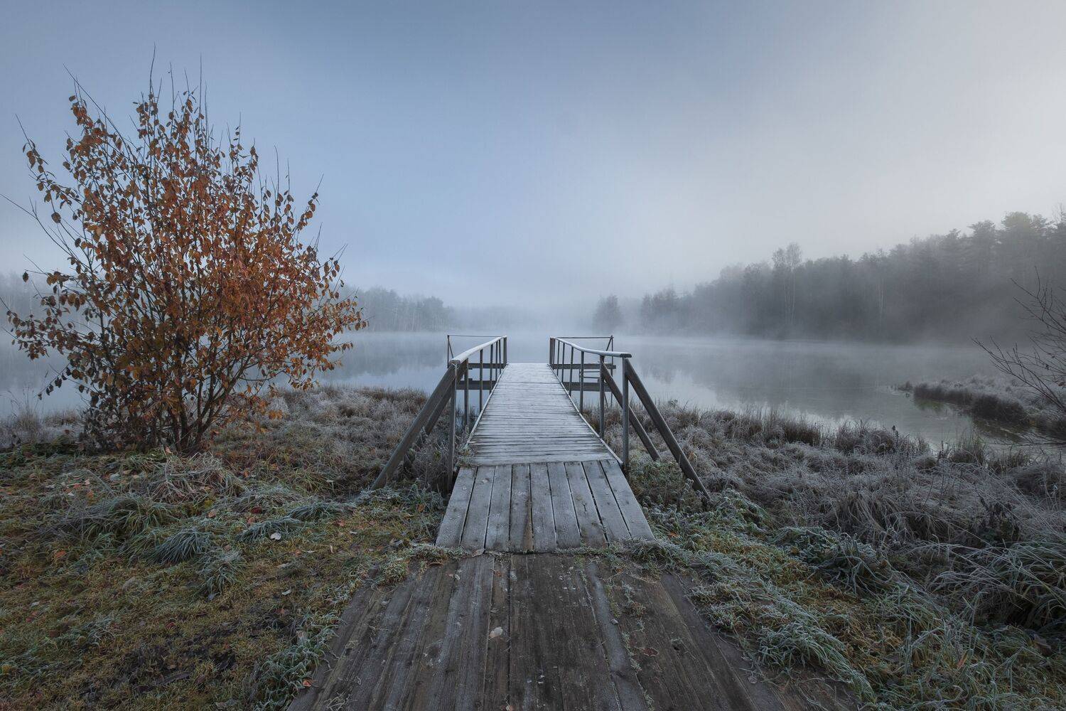 , Светлана Краюшкина