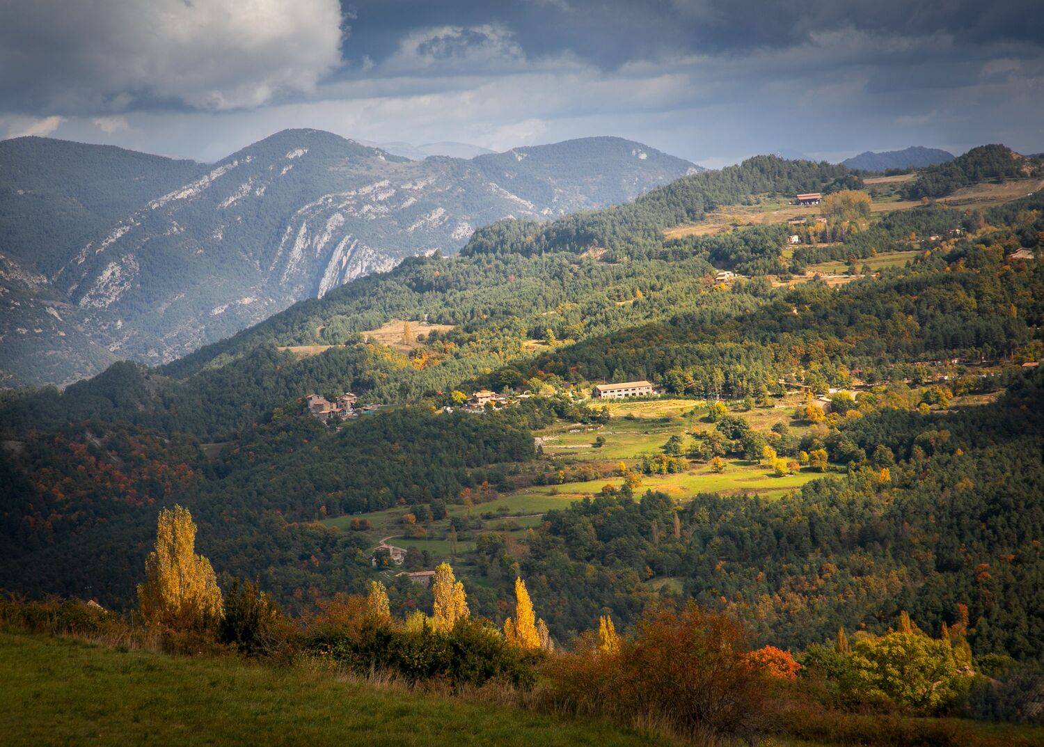 , Алекс Римский