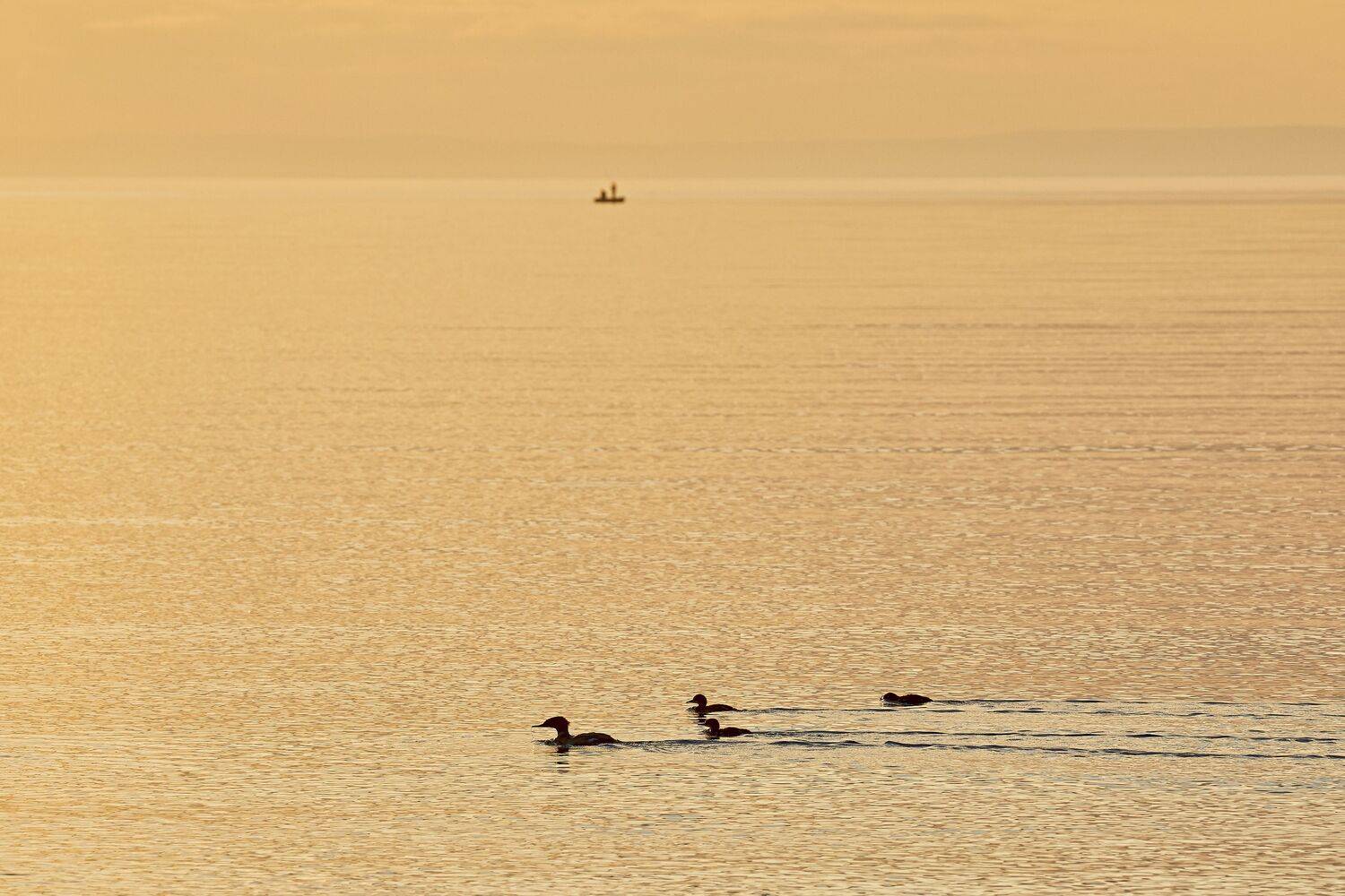 , Михаил Байбородин