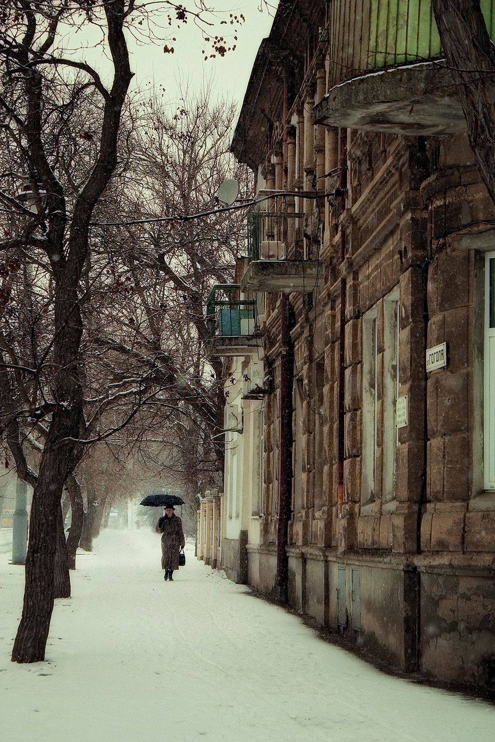 , Елена Покрепа